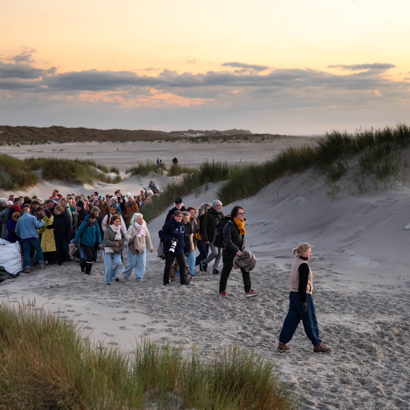 Grote groep mensen wandelt bij zonsondergang door de duinen langs een zandpad met helmgras.