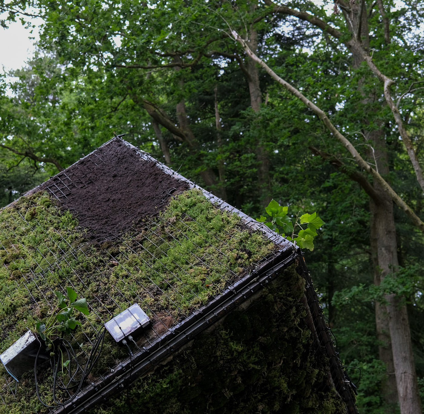 Puck Kroon – Ecoshroom - S.O.I.L. van Ivan Henriques