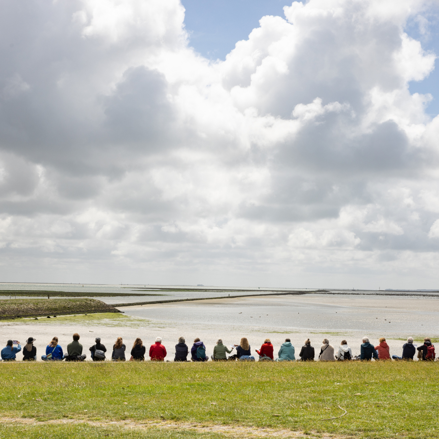 Groep mensen zit in een rij op de dijk en kijkt uit over het Waddenzee-landschap met drooggevallen platen onder bewolkte lucht.